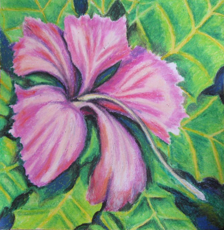 Pastel